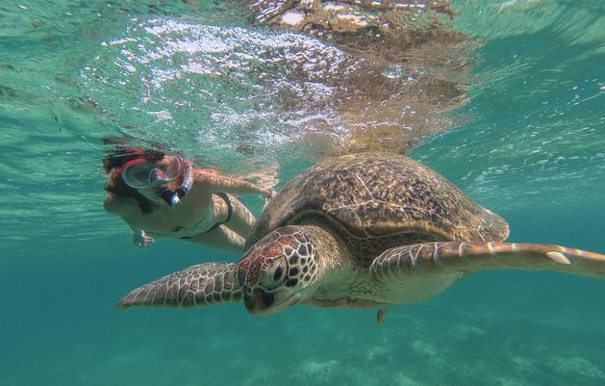 Marsa Mubarak- shuna bay