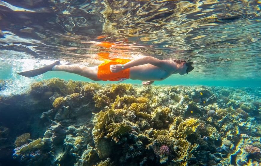 Marsa Mubarak- shuna bay