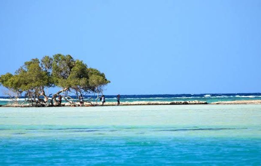 Sharm El louli & qullan island