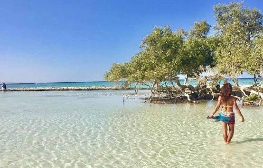 Sharm El louli & qullan island