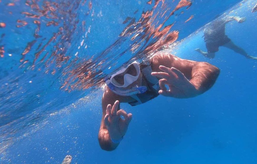 Dolphin House Samadhi