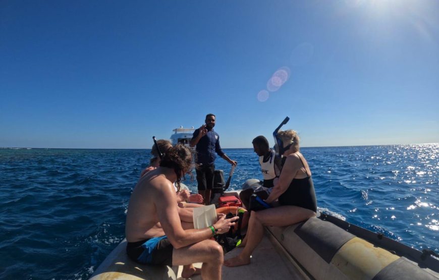 Dolphin House Samadhi