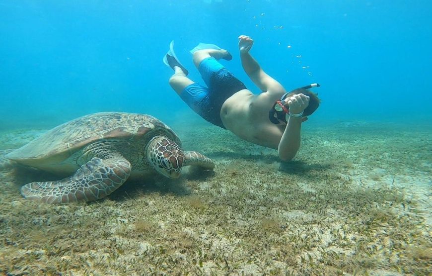 Marsa Mubarak- shuna bay
