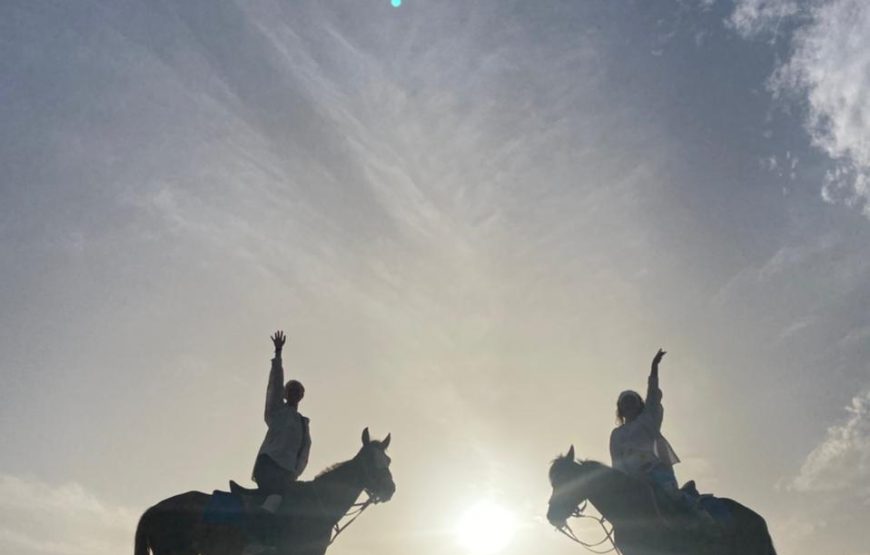 Camel & horse riding