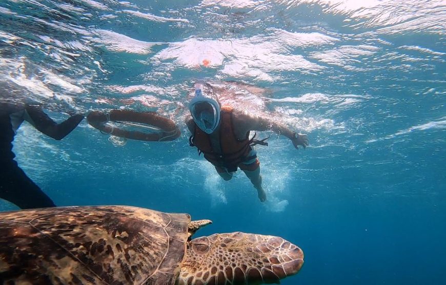 Marsa Mubarak- shuna bay