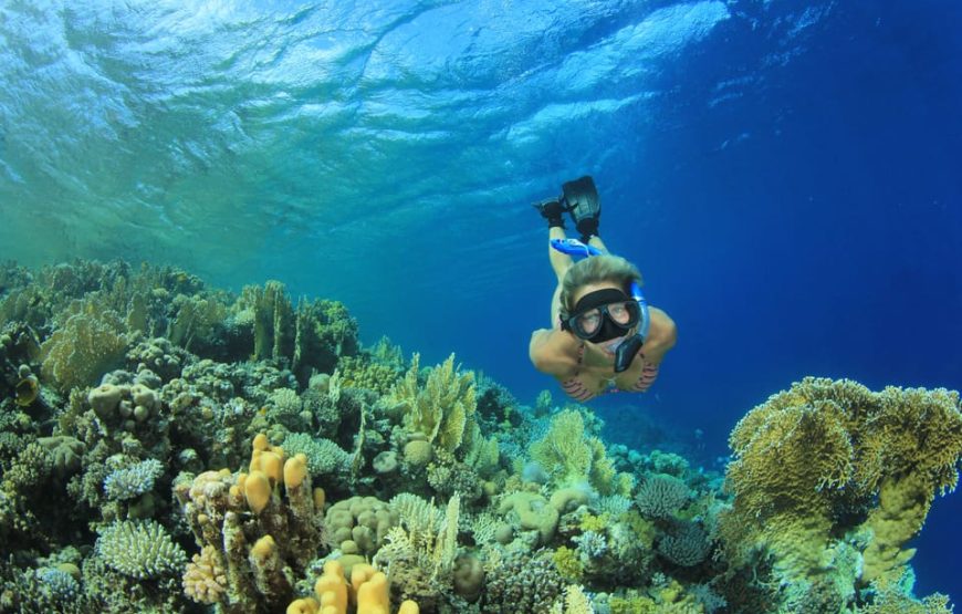 Marsa Mubarak- shuna bay