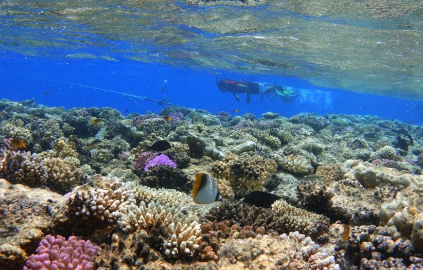 Sharm El louli & qullan island