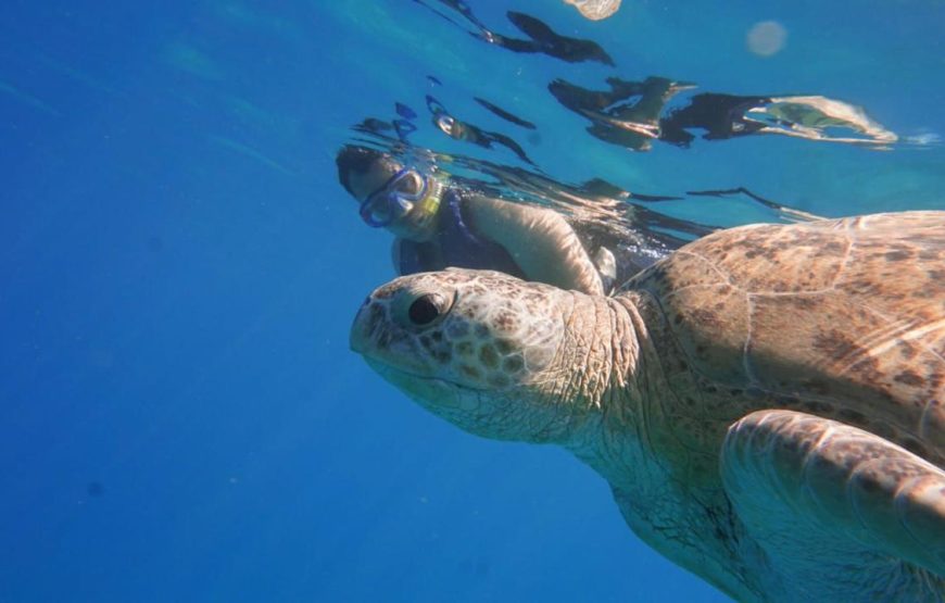 Marsa Mubarak- shuna bay
