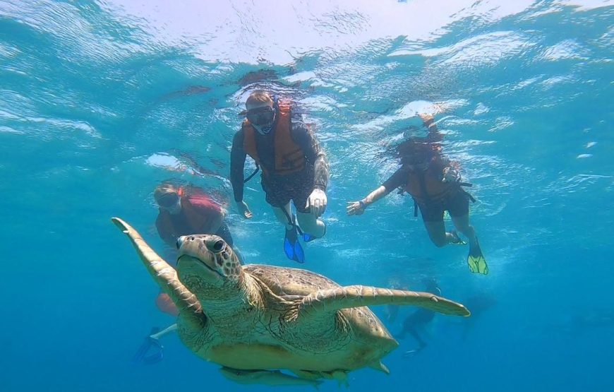 Marsa Mubarak- shuna bay