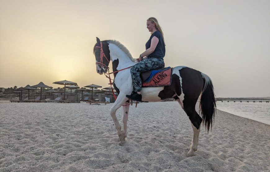 Camel & horse riding