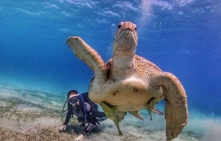 Marsa Mubarak- shuna bay